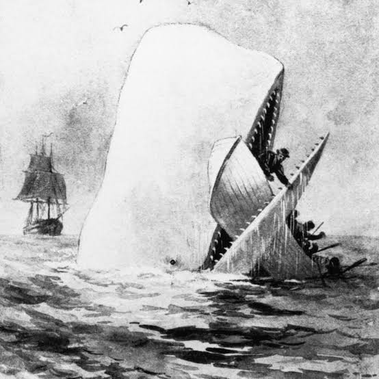 Illustration of Moby Dick, the white whale